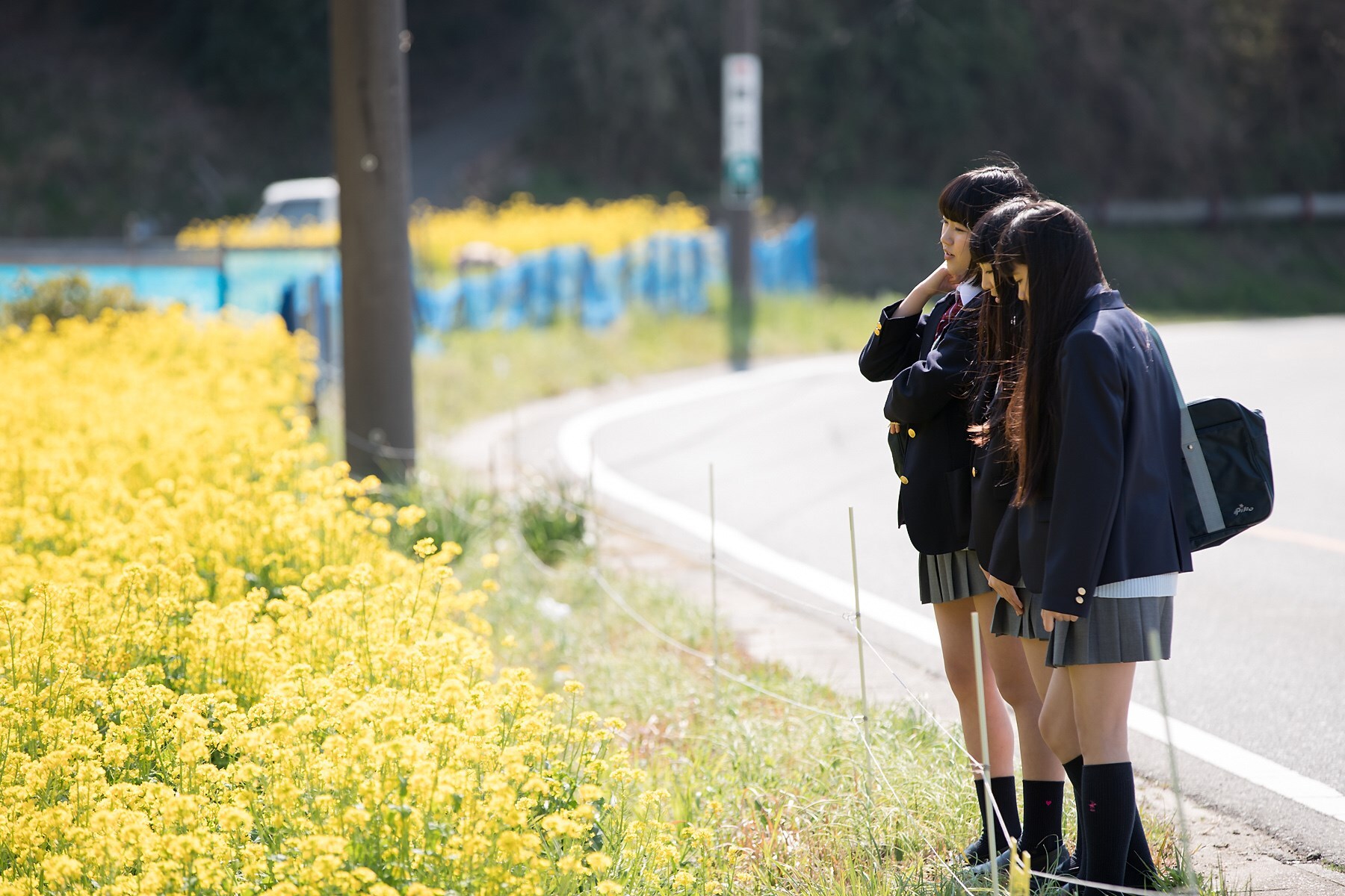 [Minisuka.tv] 新手美女 2017-04-13 NewComer 2017 - Special Gallery 01